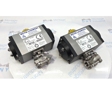 WEYN-LAUERS MT20-4DAD31 pneumatic actuator 1 pc. P2 / 965/1017