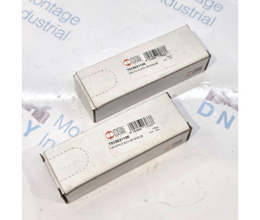 METAL WORK PNEUMATIC 7010021100. 1LOT-2PCS. S5.1118