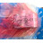 SICK DFS60E-S4EC01000 encoder S8.1066 406465482041 | Sick - Image 2