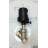 P2/962 | GEMÃ - Image 2