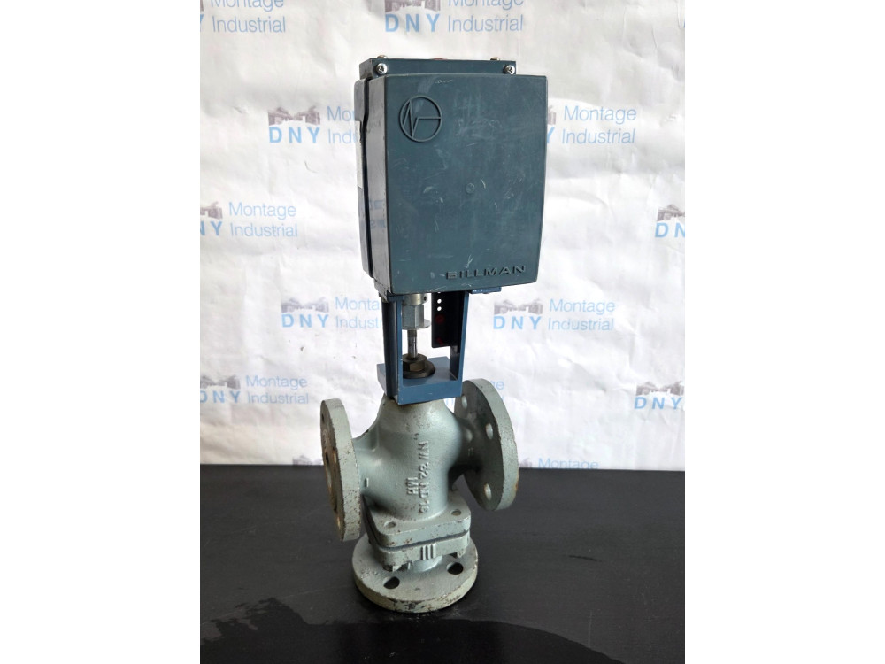 406079455983 | BILLMAN - Image 1