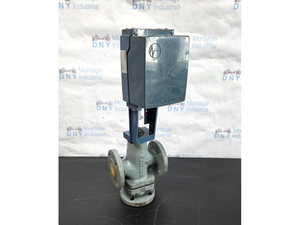 D16 /846 | BILLMAN - Image 1