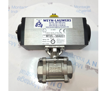 WEYN-LAUERS MT25-5DAD31 Pneumatic Actuator. P2 / 966 WEYN-LAUERS MT25-5DAD31 Pneumatic Actuator. P2 / 966