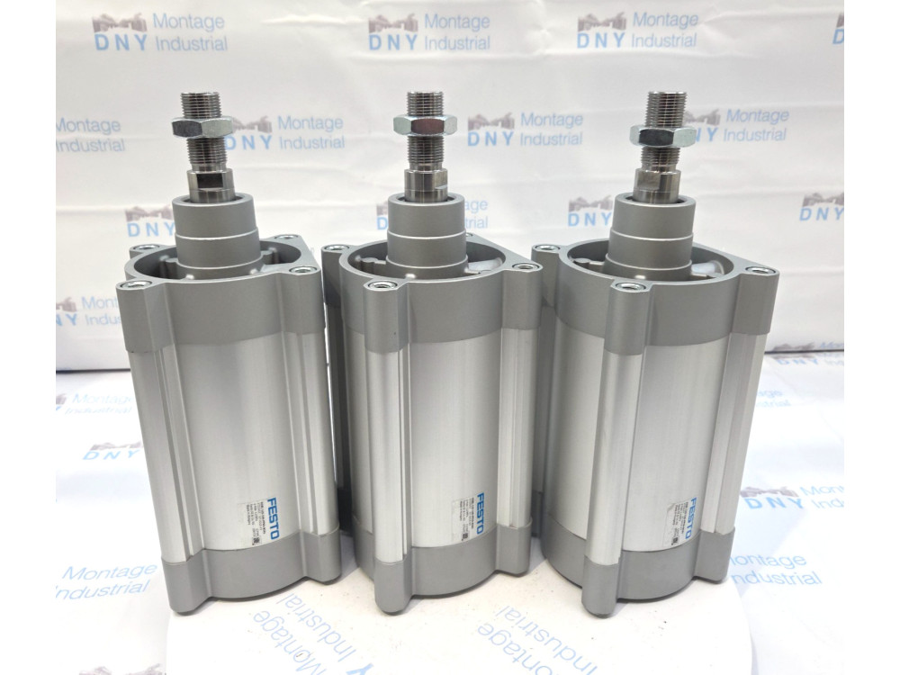 FESTO DSBC-125-100-PPVA-N3A1 Pneumatic Cylinder. 1PCS. P1/1013 P1/1013 | Festo - Image 1